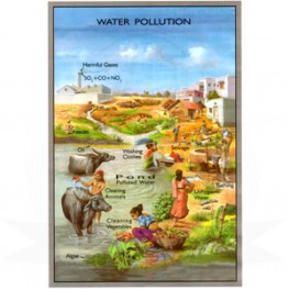 VKSI Water Pollution Chart