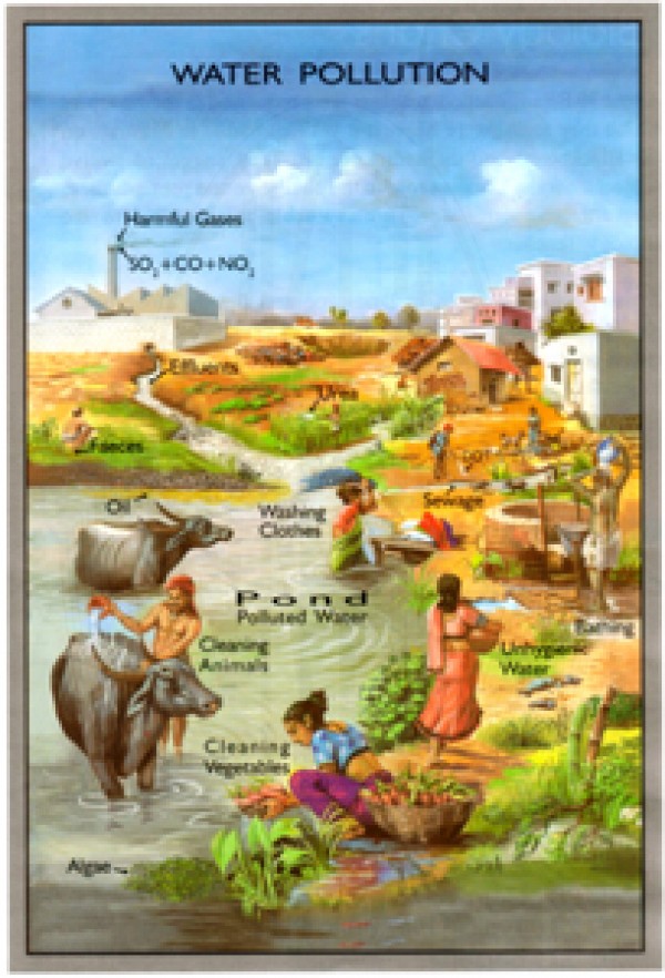 Water Pollution Chart