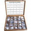 VKSI Collection of 25 Rocks