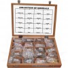 VKSI Collection of 20 Minerals