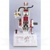 VKSI Four Stroke Petrol Engine Model