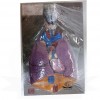 VKSI Heart with Lungs