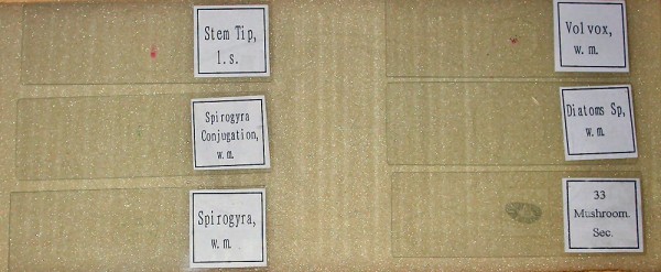 VKSI Microscope Prepared Glass Slides
