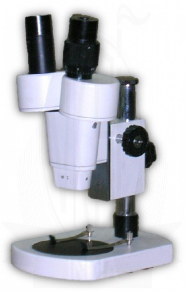 Student Dissecting Stereo Microscope